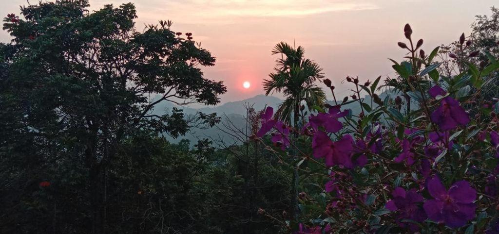 Munnar Tent Hills Resort Devikolam 외부 사진