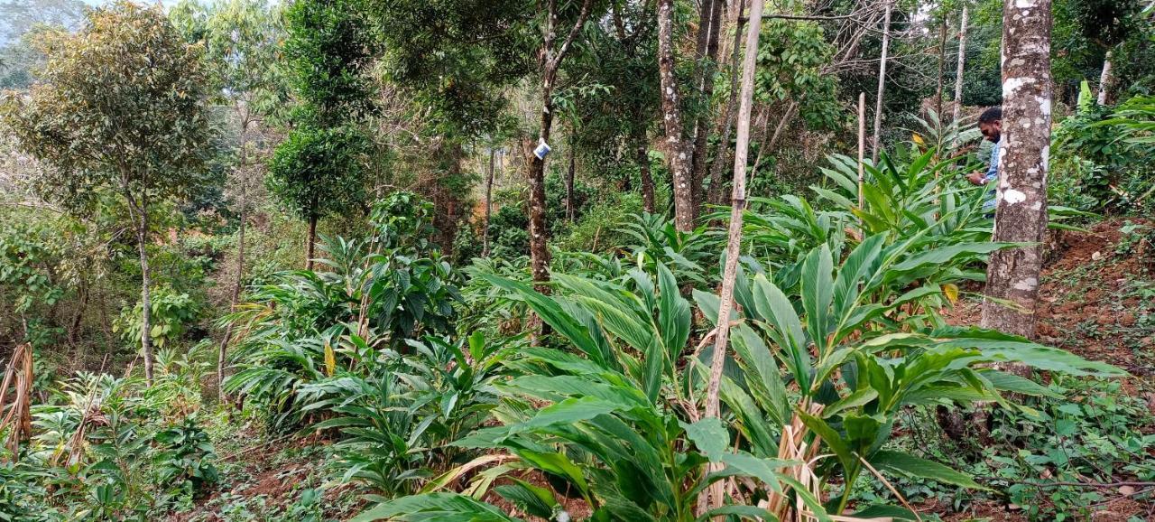 Munnar Tent Hills Resort Devikolam 외부 사진