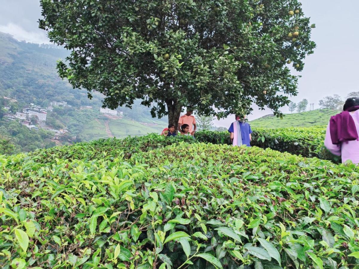 Munnar Tent Hills Resort Devikolam 외부 사진